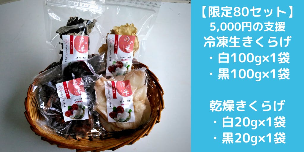 コロナ渦 免疫力アップにビタミンdが豊富なきくらげに注目 Campfire キャンプファイヤー コロナ渦 免疫力アップにビタミンdが豊富なきくらげに注目 Campfire キャンプファイヤー