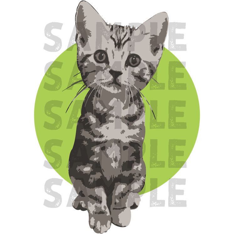 猫コロナウイルスによる猫伝染性腹膜炎 Fip 治療費ご協力のお願いアクティビティ Campfire キャンプファイヤー