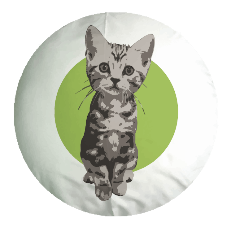 猫コロナウイルスによる猫伝染性腹膜炎 Fip 治療費ご協力のお願い Campfire キャンプファイヤー