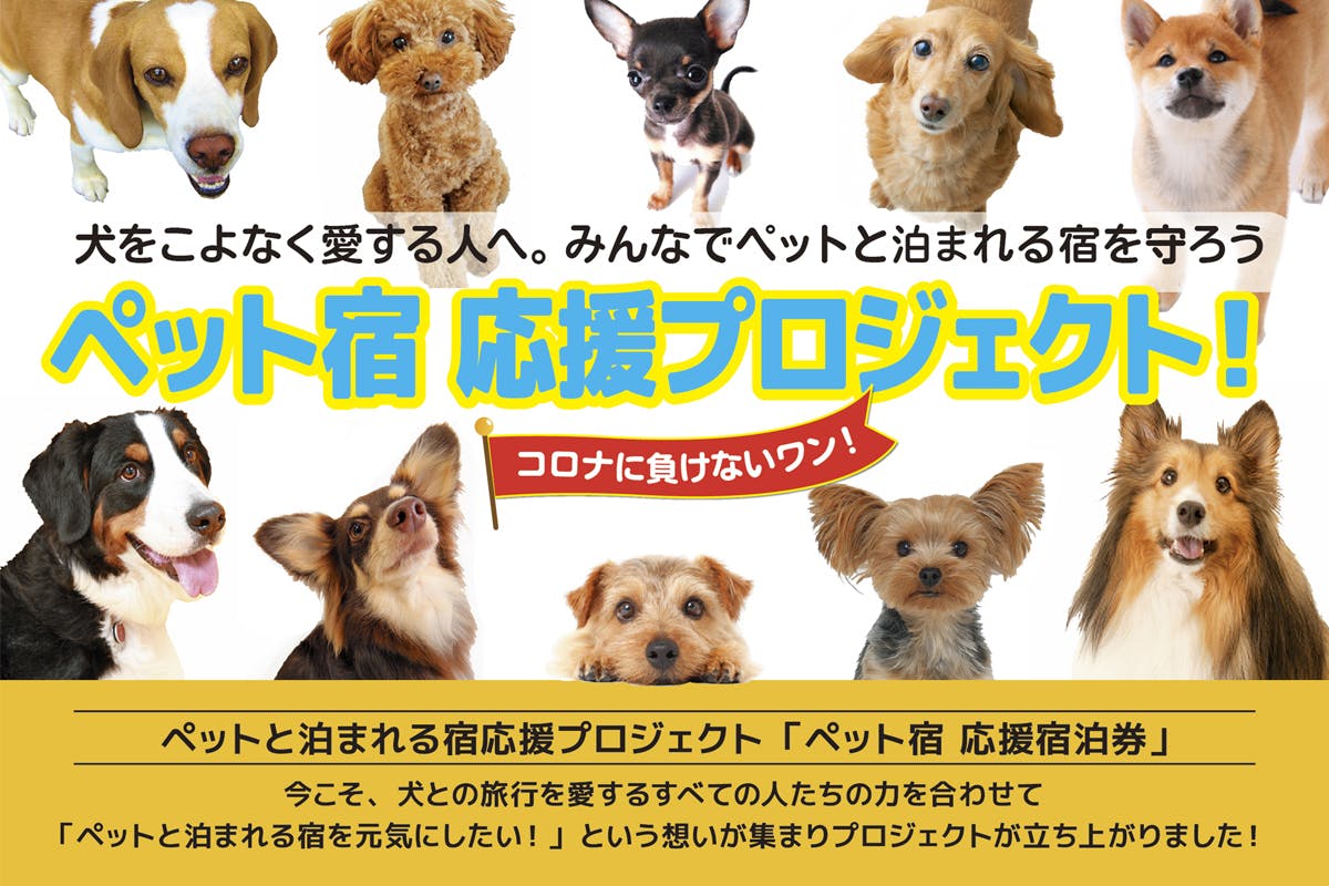 ペット宿応援プロジェクト みんなでペット宿の危機を救おう Campfire キャンプファイヤー