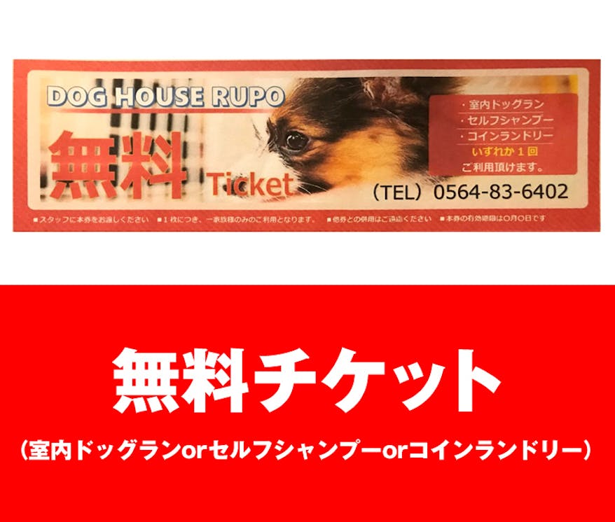 三河地方初の冷暖房完備室内ドッグランを創りたい Campfire キャンプファイヤー