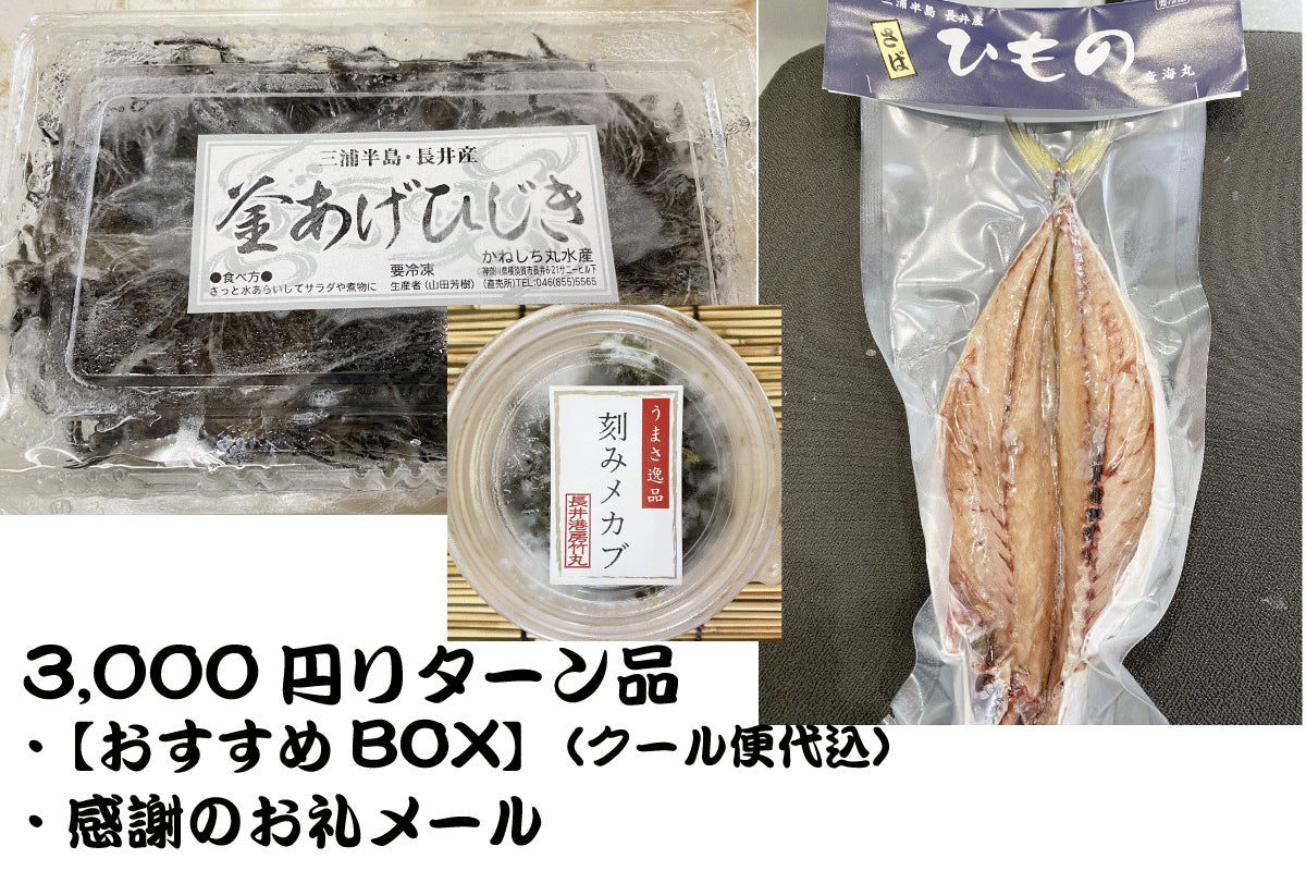 リターン画像