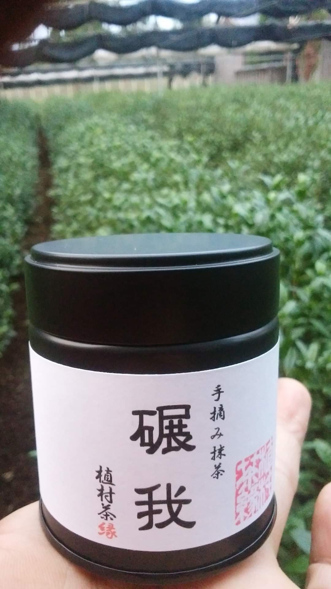 リターン画像