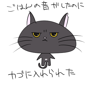 怪我をした黒猫を保護したら猫エイズキャリアで腎不全になりかかっています Campfire キャンプファイヤー 怪我をした黒猫を保護したら猫エイズキャリアで腎不全になりかかっています Campfire キャンプファイヤー