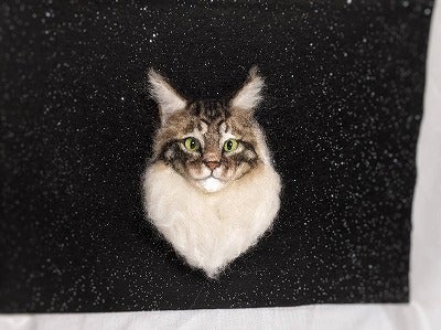 コロナショックで閉鎖した猫好きの集まる教室の再開支援のお願い Campfire キャンプファイヤー