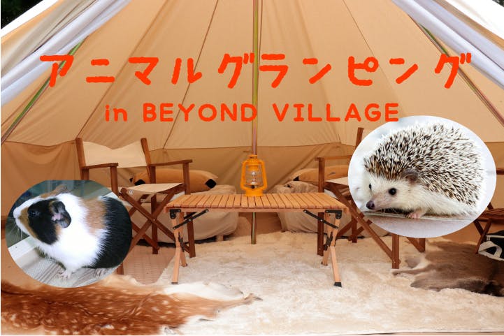 2日間限定 キャンプ場にふれあい動物園を呼んで笑顔溢れるどうぶつの森を へのコメント Campfire キャンプファイヤー 2日間限定 キャンプ場にふれあい動物園を呼んで笑顔溢れるどうぶつの森を へのコメント Campfire キャンプファイヤー