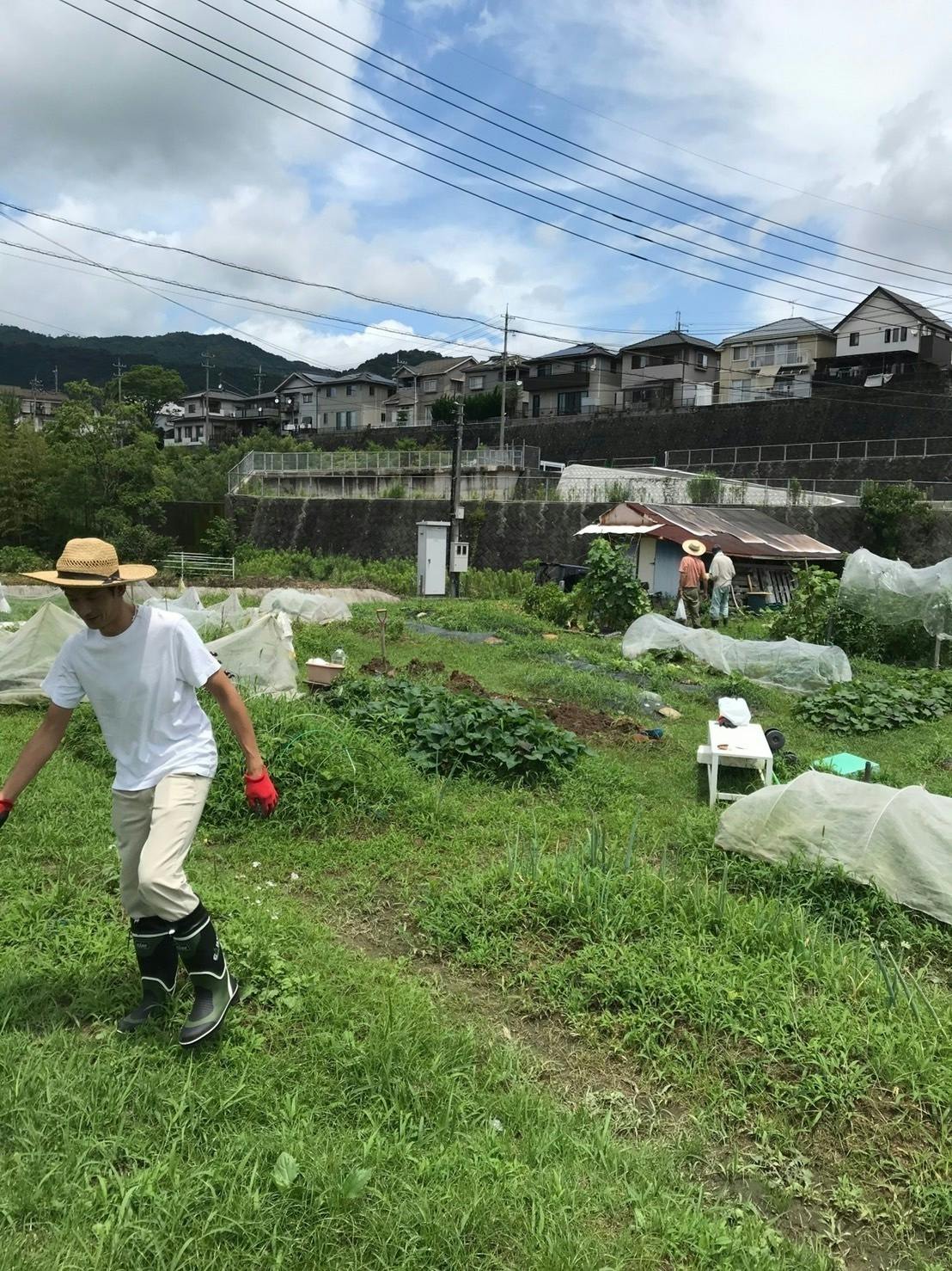 リターン画像