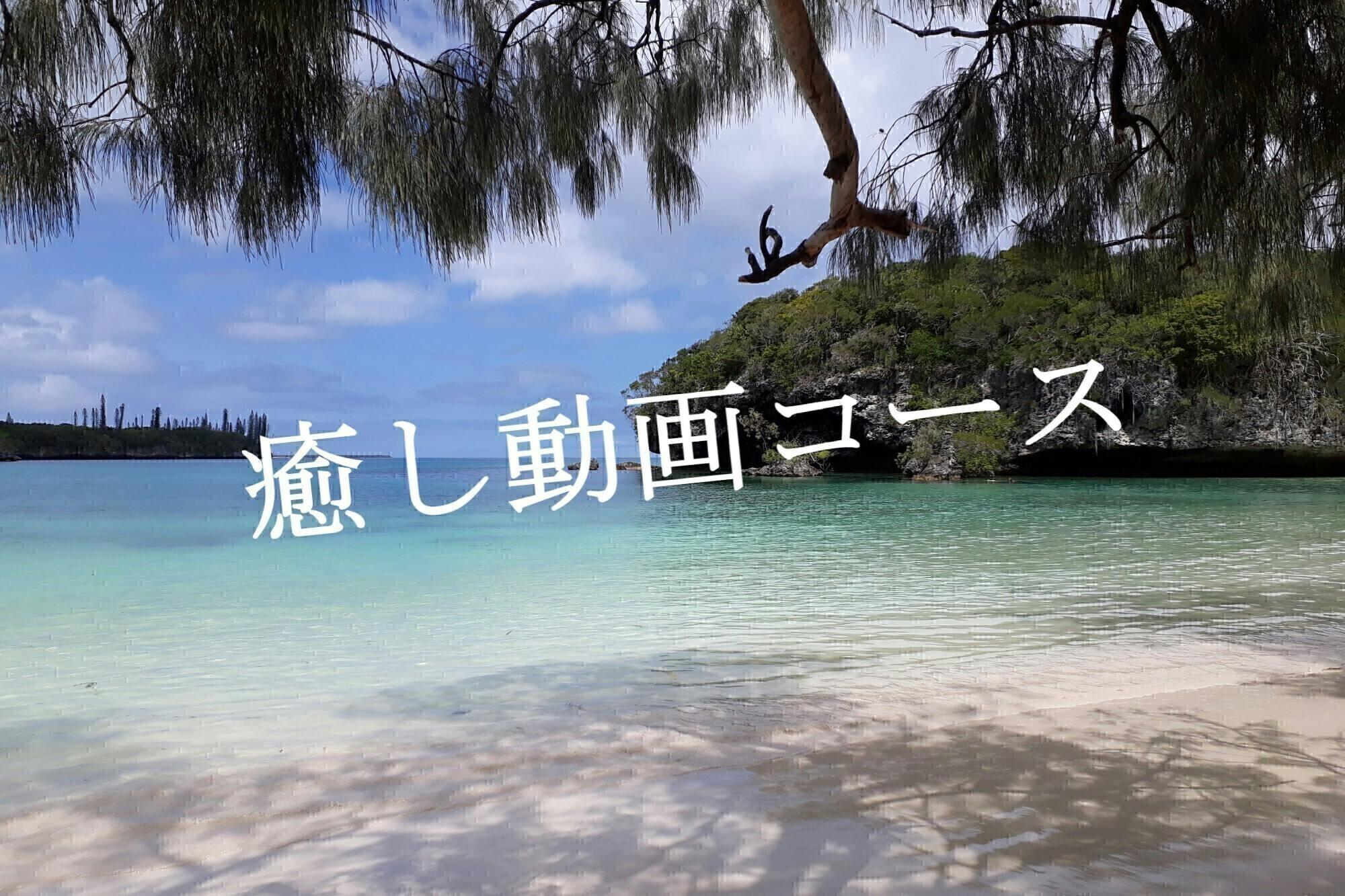 今日もヌメアは良い天気です Campfire キャンプファイヤー 今日もヌメアは良い天気です Campfire キャンプファイヤー