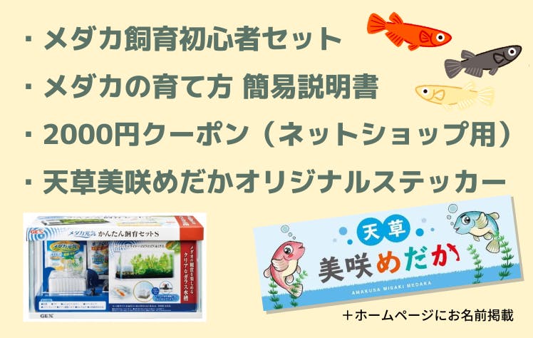 メダカを金魚 錦鯉に次ぐ第三の観賞魚にするべく設備を整えたい Campfire キャンプファイヤー