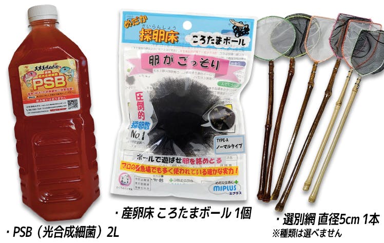 メダカを金魚 錦鯉に次ぐ第三の観賞魚にするべく設備を整えたい Campfire キャンプファイヤー