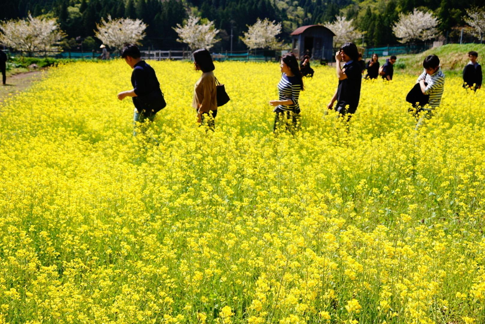 学びをコロナで止めたくない いつでも学べる婚活オンラインスクールを開校したい Campfire キャンプファイヤー