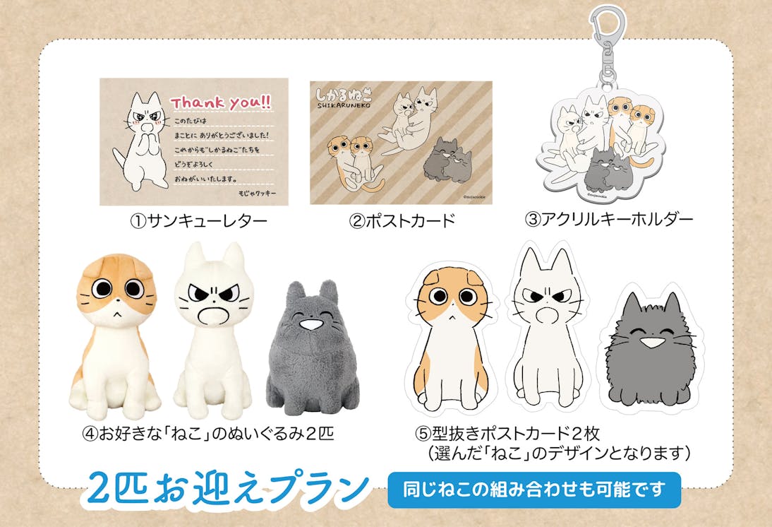 しかるねこたちのおすわりぬいぐるみプロジェクト Campfire キャンプファイヤー