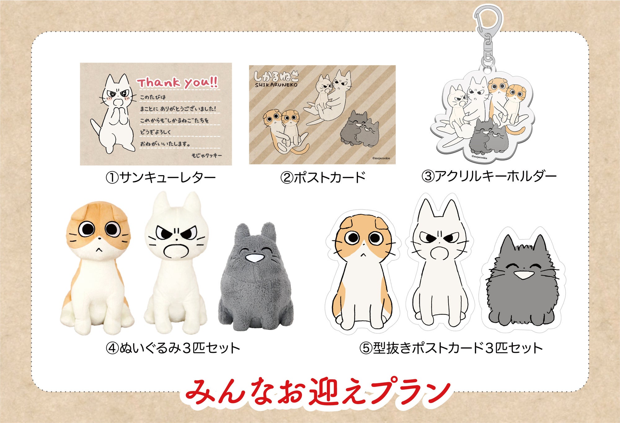 活動報告一覧 - しかるねこたちのおすわりぬいぐるみプロジェクト