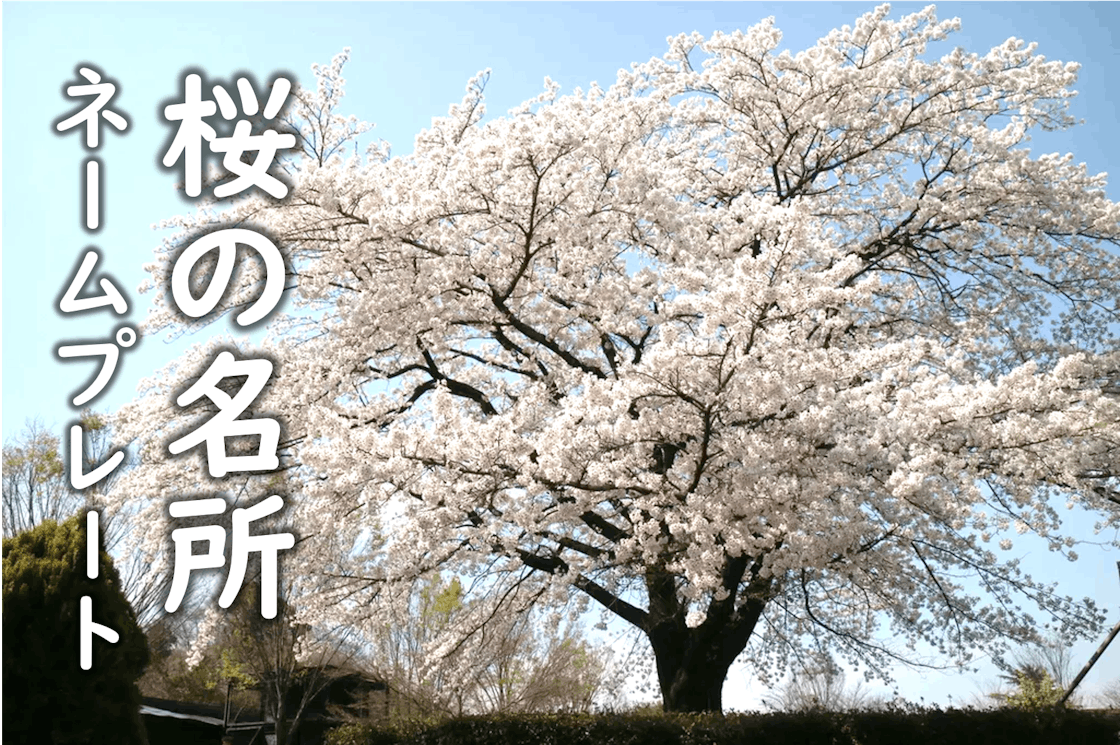 群馬サファリパーク 守りたい 命を育む世界 の支援者一覧 Campfire キャンプファイヤー