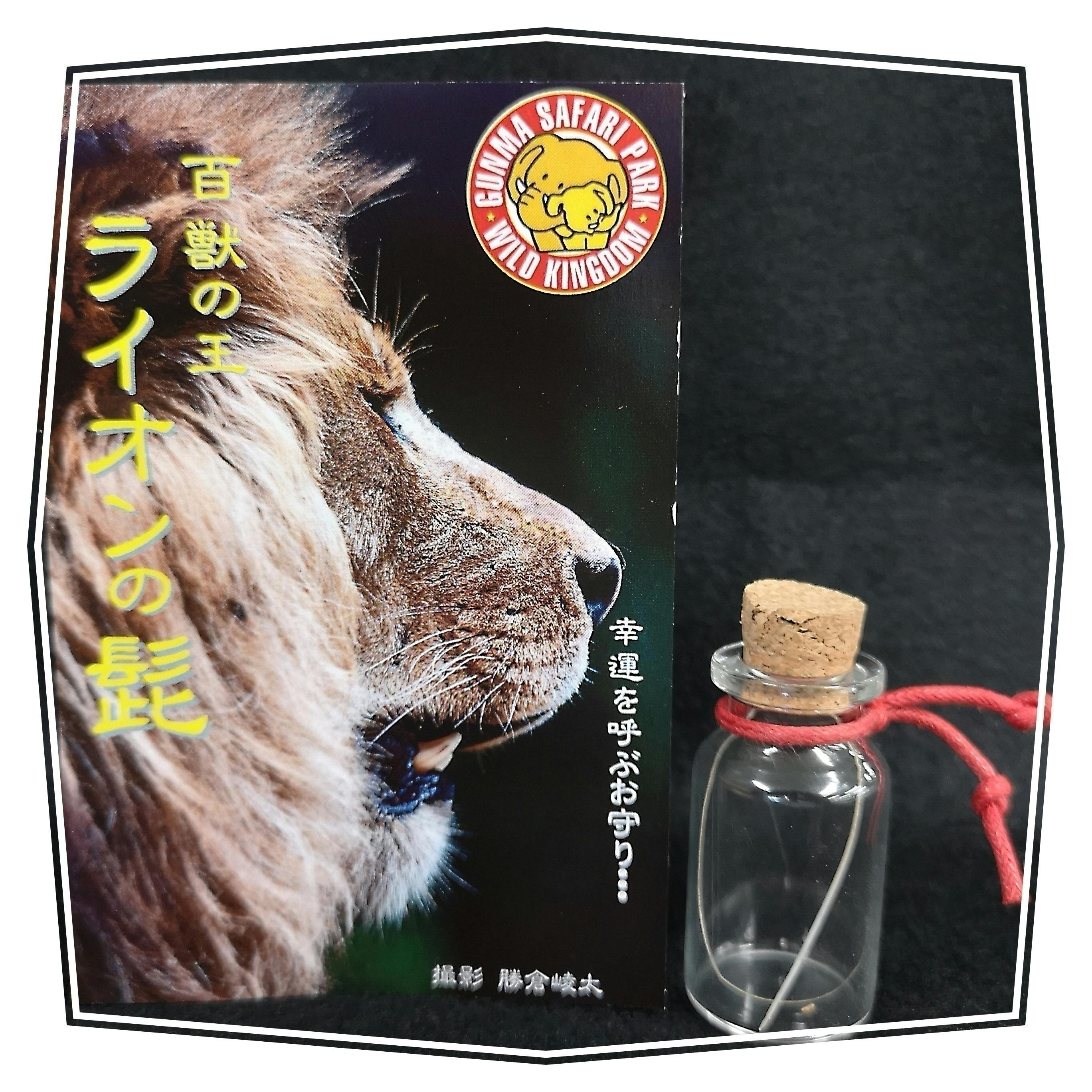 百獣の王ライオンの髭のお守り - CAMPFIRE (キャンプファイヤー)