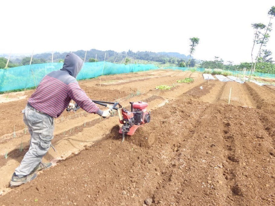インドネシアで自然栽培の 学びの場 を Campfire キャンプファイヤー インドネシアで自然栽培の 学びの場 を Campfire キャンプファイヤー