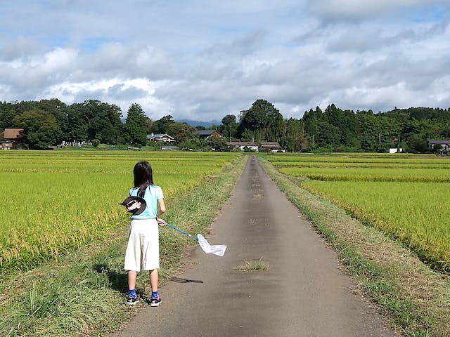 リターン画像