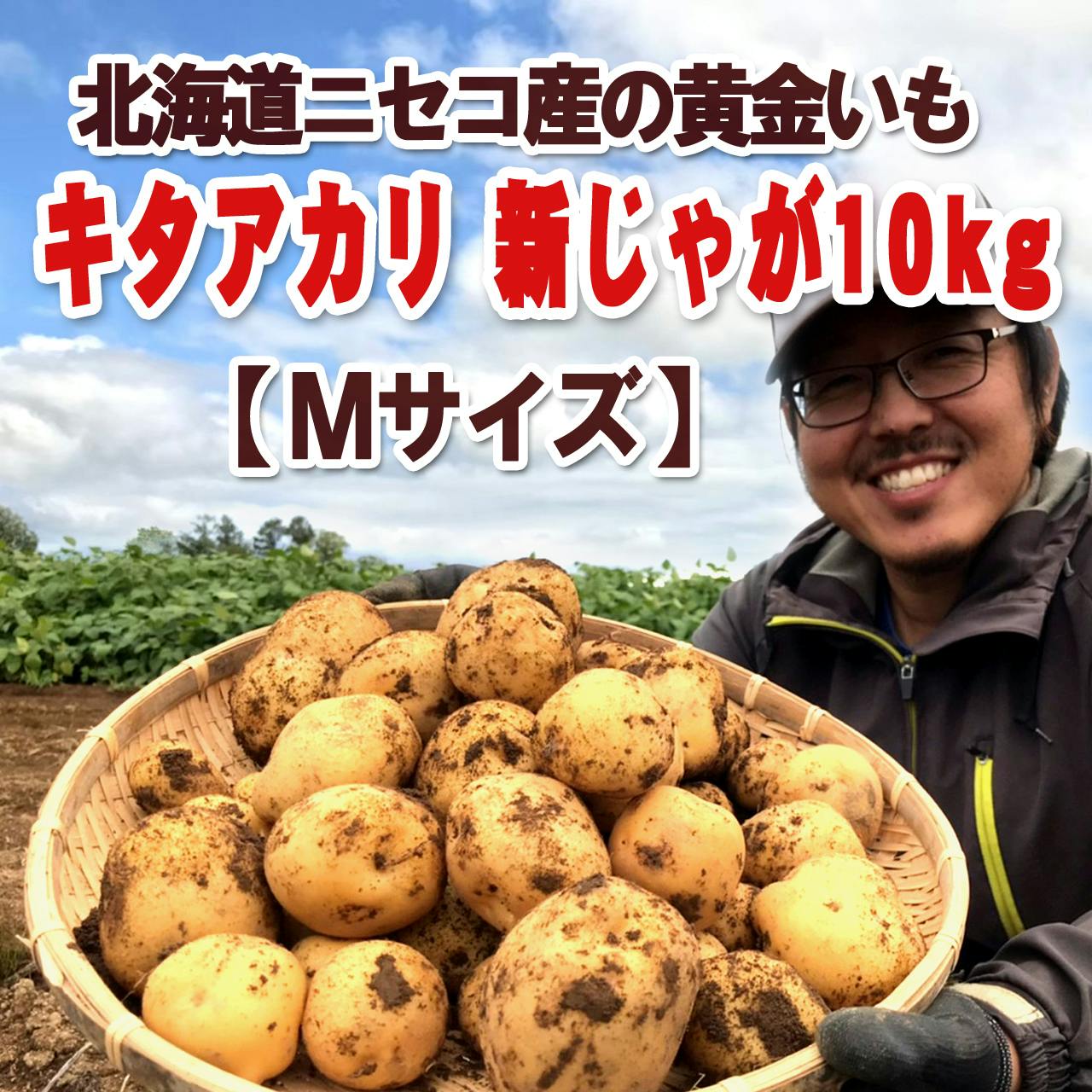 ニセコの秋の味覚を届けたい 北の大地が育んだ黄金のじゃがいも キタアカリ Campfire キャンプファイヤー ニセコの秋の味覚を届けたい 北の大地が育んだ黄金のじゃがいも キタアカリ Campfire キャンプファイヤー