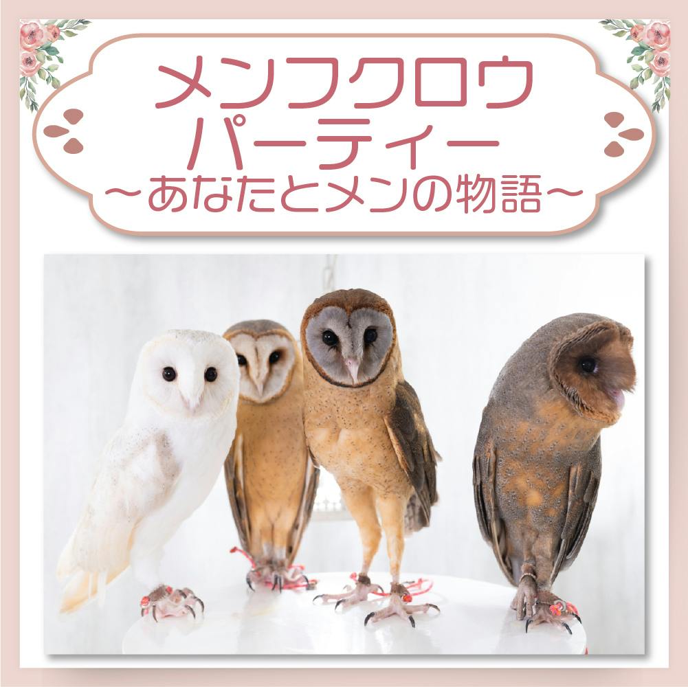 コロナに負けない フクロウカフェ アキバフクロウ 存続プロジェクトアクティビティ Campfire キャンプファイヤー コロナに負けない フクロウカフェ アキバフクロウ 存続プロジェクトアクティビティ Campfire キャンプファイヤー