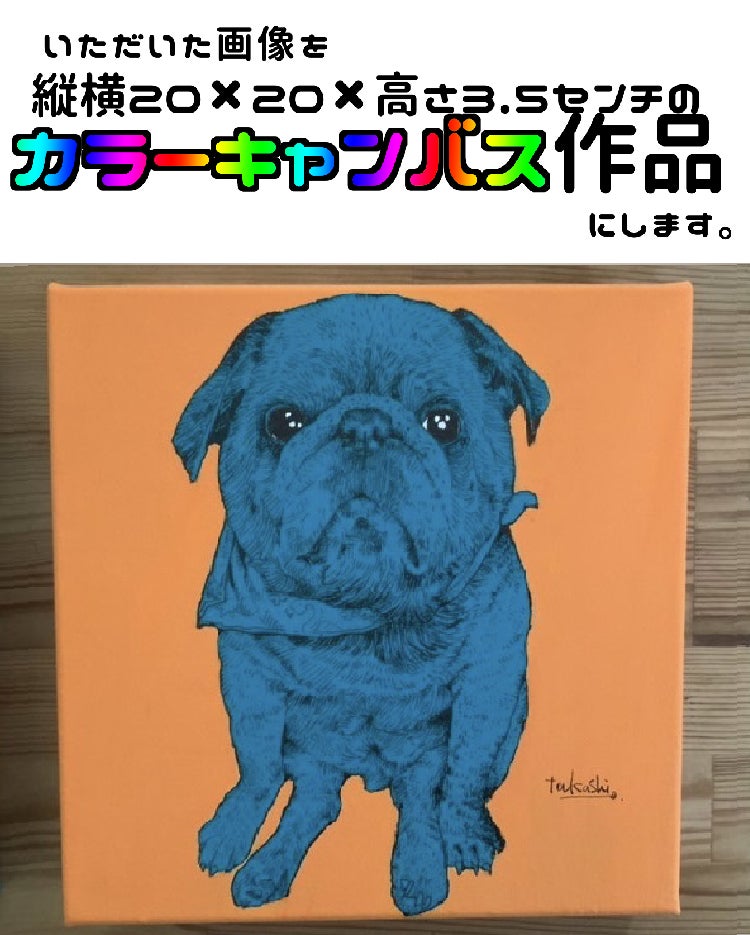 リターン画像