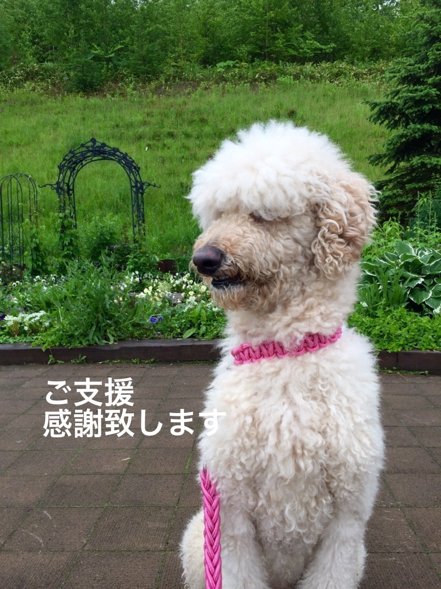 リターン画像