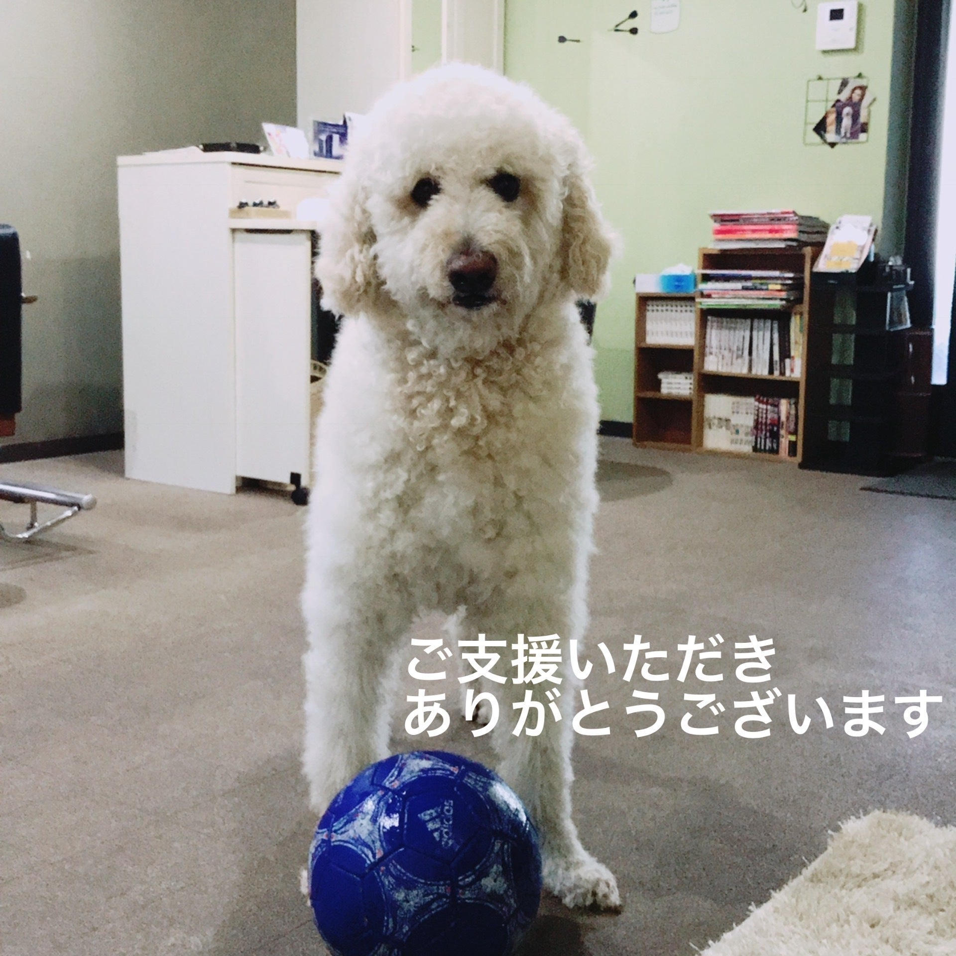 リターン画像