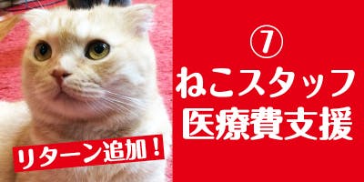 群馬県「ねこと占い師がいるカフェ キャッツプラネット」営業継続支援 