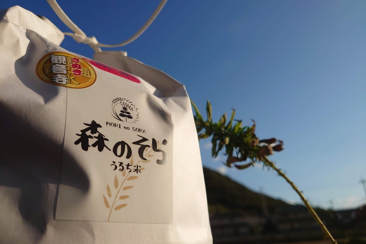 リターン画像