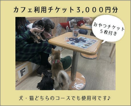 旧 ペットンカフェ コロナに負けたくない 犬猫カフェ 月と太陽 存続の危機 の支援者一覧 Campfire キャンプファイヤー