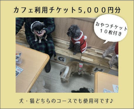 旧 ペットンカフェ コロナに負けたくない 犬猫カフェ 月と太陽 存続の危機 の支援者一覧 Campfire キャンプファイヤー