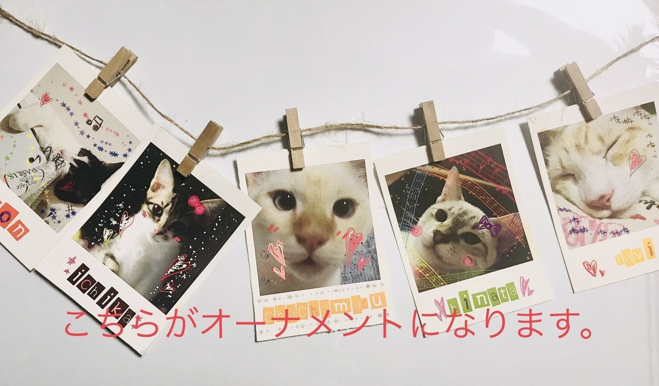 リターン画像