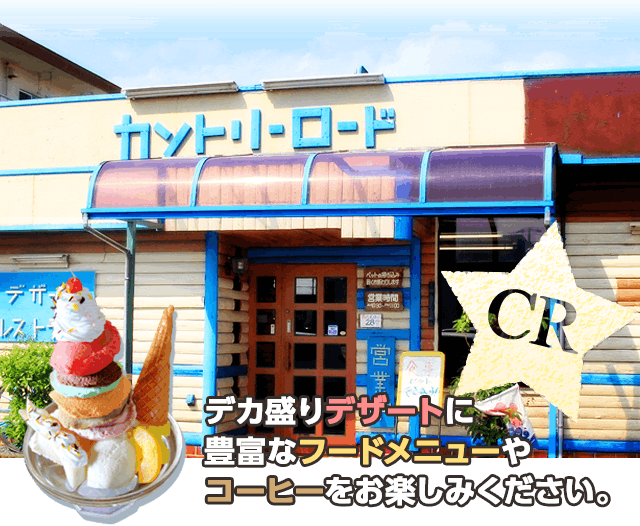 昔懐かしい スーパープリンの喫茶店 カントリーロードを存続させたい Campfire キャンプファイヤー 昔懐かしい スーパープリンの喫茶店 カントリーロードを存続させたい Campfire キャンプファイヤー