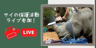クロサイとシロサイの違いとは Campfire キャンプファイヤー クロサイとシロサイの違いとは Campfire キャンプファイヤー