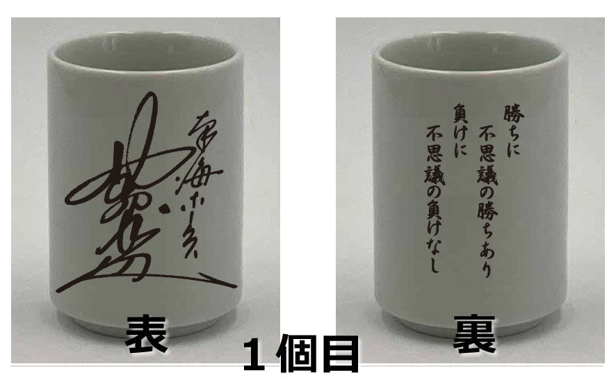 おかえり!ノムさん 大阪球場(なんばパークス)に。アクティビティ ...