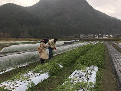 リターン画像