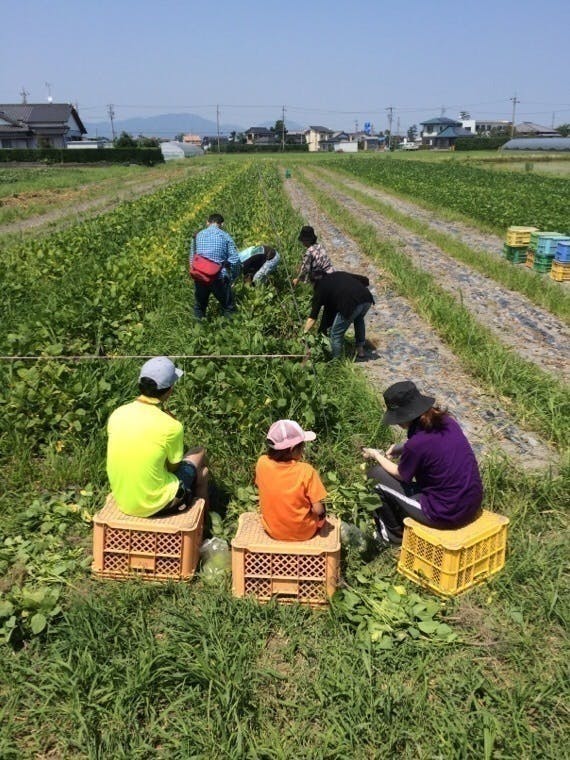 リターン画像