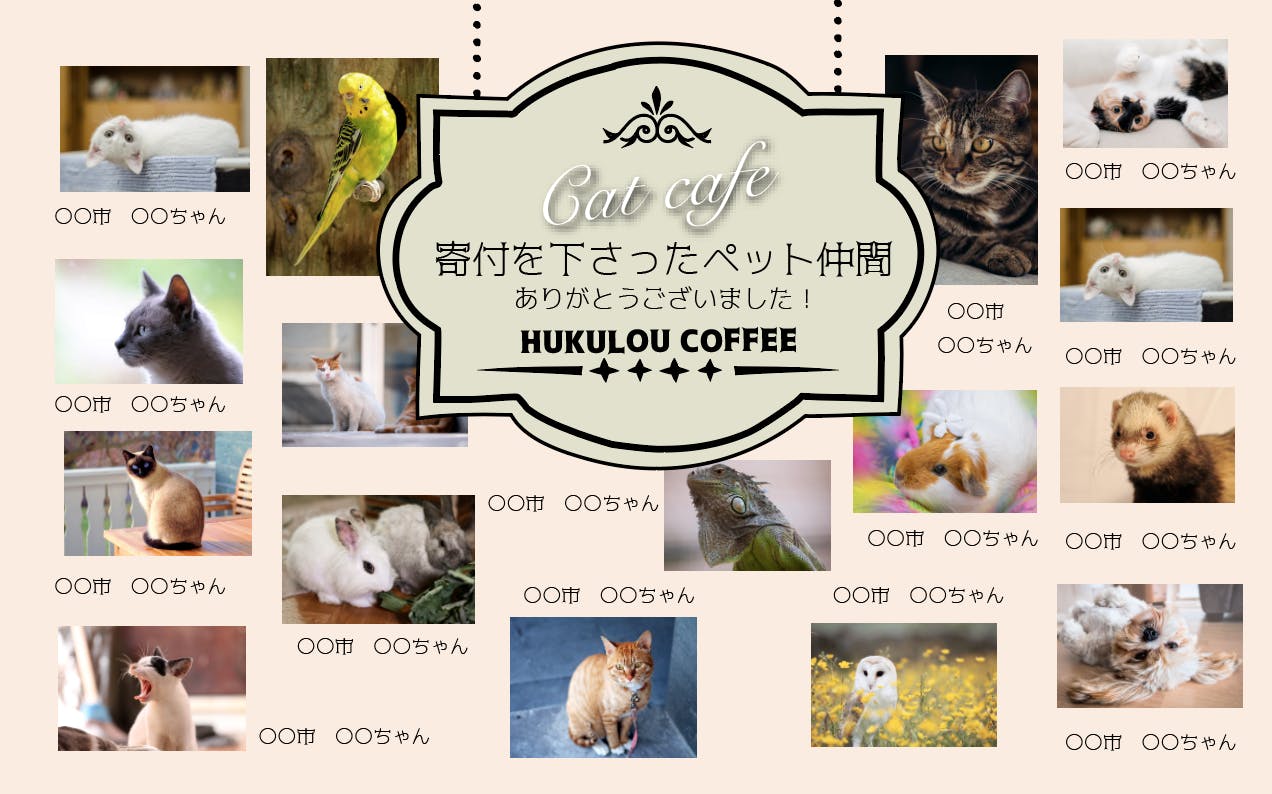 夜の猫カフェ 猫と添い寝 詳細です Campfire キャンプファイヤー 夜の猫カフェ 猫と添い寝 詳細です Campfire キャンプファイヤー