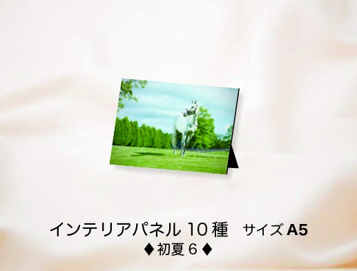 ゴールドシップ写真集「ファンver.クール」「6冠写真集100p」発送の