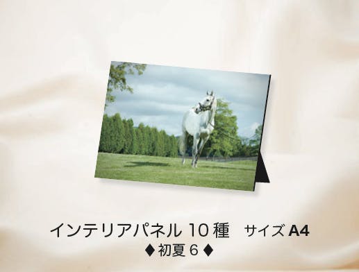 ゴールドシップ　優勝記念プレミアム写真集　遥かなる蹄跡 ゴールドシップ写真集 駿夏秋冬【セブンネットショッピング限定