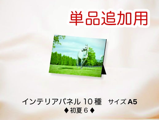 ゴールドシップ写真集「ファンver.クール」「6冠写真集100p」発送の