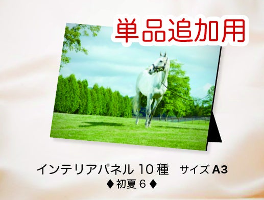 ゴールドシップ写真集「ファンver.クール」「6冠写真集100p」発送の