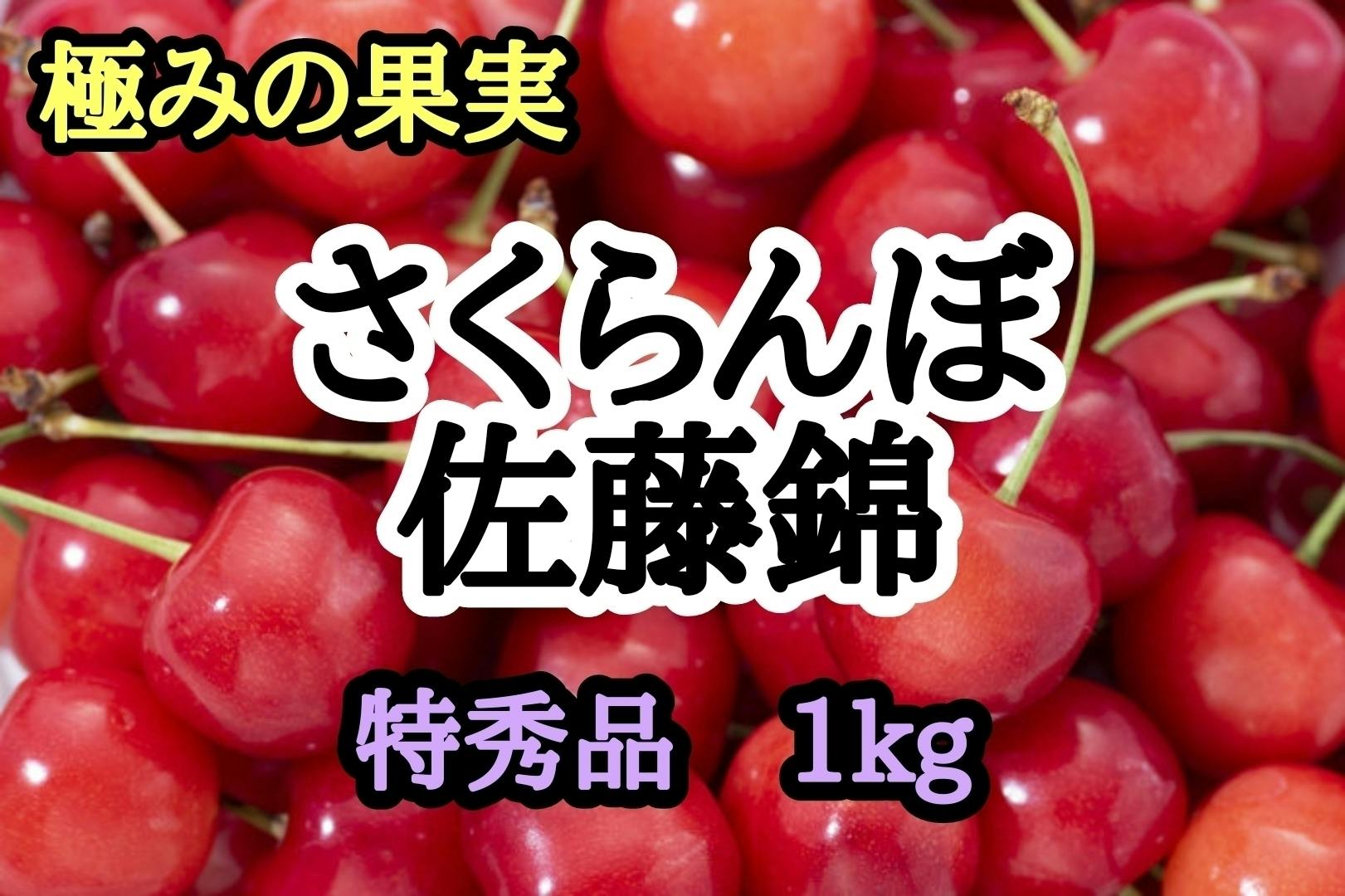 ふるさと納税 先行予約 さくらんぼ 佐藤錦 ○秀Ｌ玉以上 1kgバラ 2024