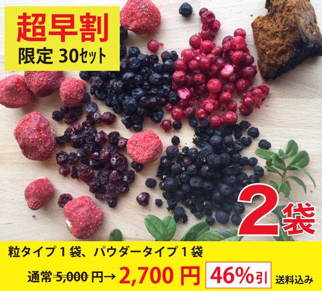 北極圏の 美味しく生命力に満ちたフォレストベリー を日本中にお届けしたい Campfire キャンプファイヤー 北極圏の 美味しく生命力に満ちたフォレストベリー を日本中にお届けしたい Campfire キャンプファイヤー