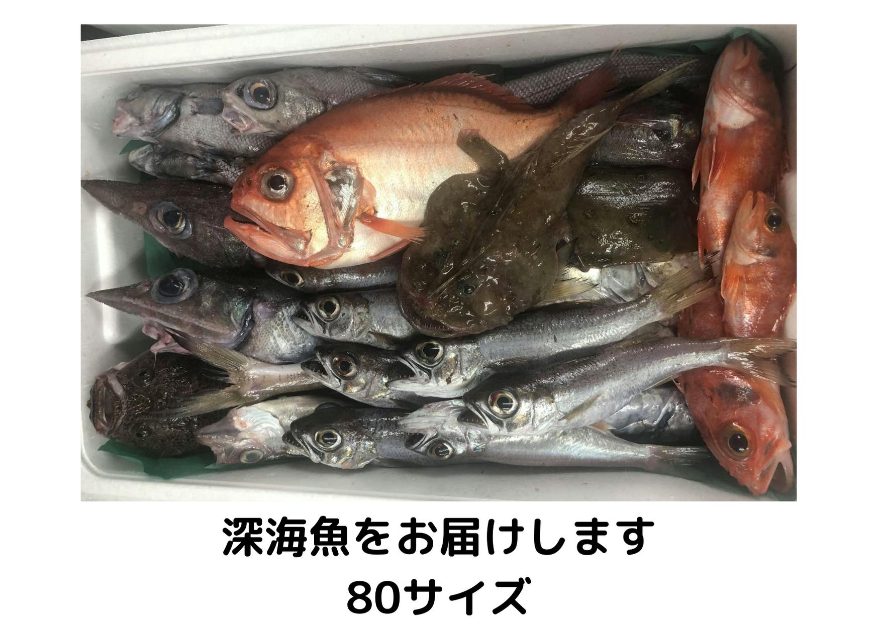 近県配達可！巨大 本鮪 看板 オブジェ 水産 築地 市場 店舗 居酒屋 魚河岸-