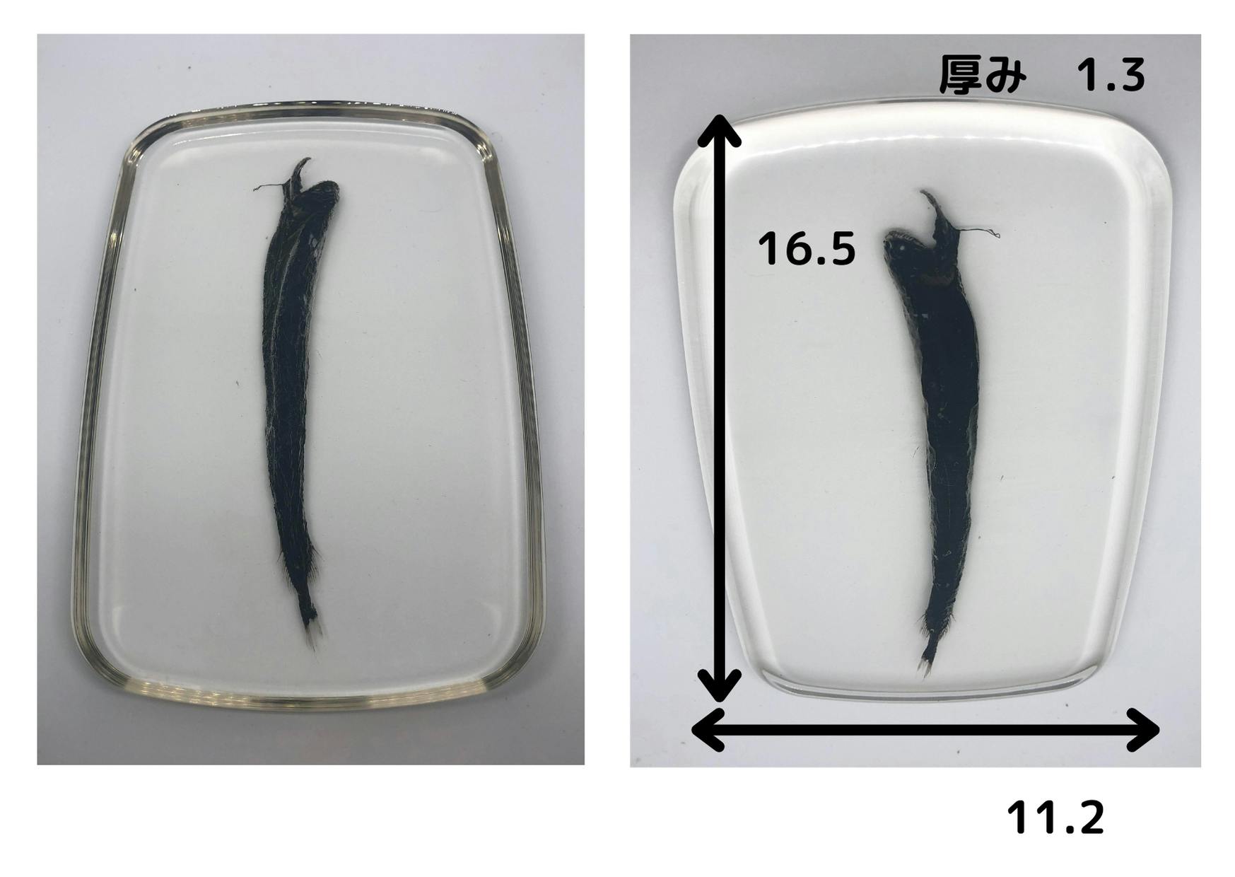 リターン画像