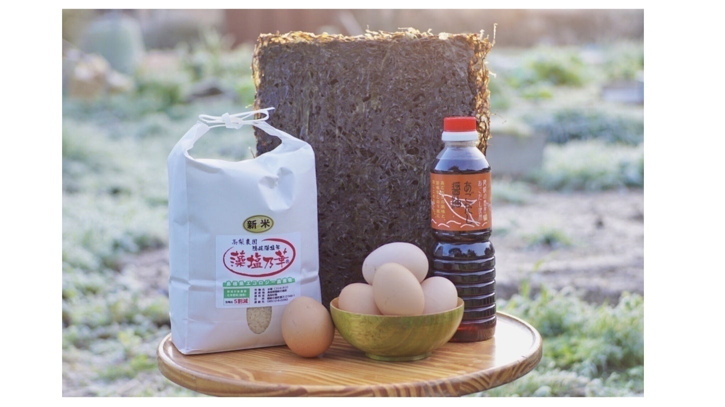 リターン画像