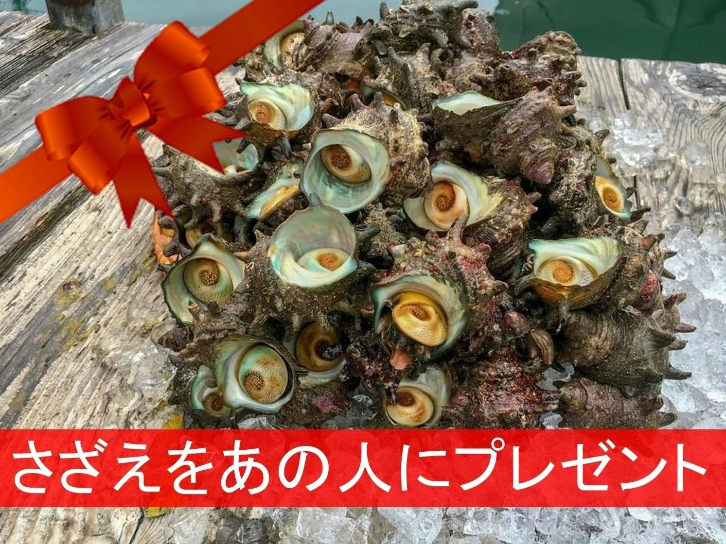 にわとり小屋建設がスタートしました Campfire キャンプファイヤー にわとり小屋建設がスタートしました Campfire キャンプファイヤー