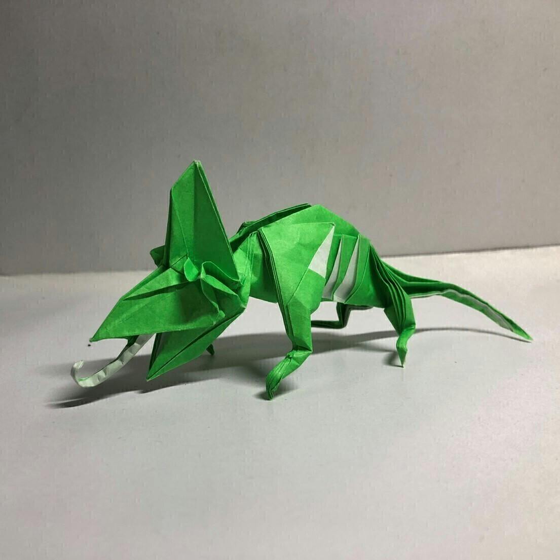 東大折紙 折り紙王子 学びと楽しさをつなぐ 展開図おりがみ Campfire キャンプファイヤー 東大折紙 折り紙王子 学びと楽しさをつなぐ 展開図おりがみ Campfire キャンプファイヤー