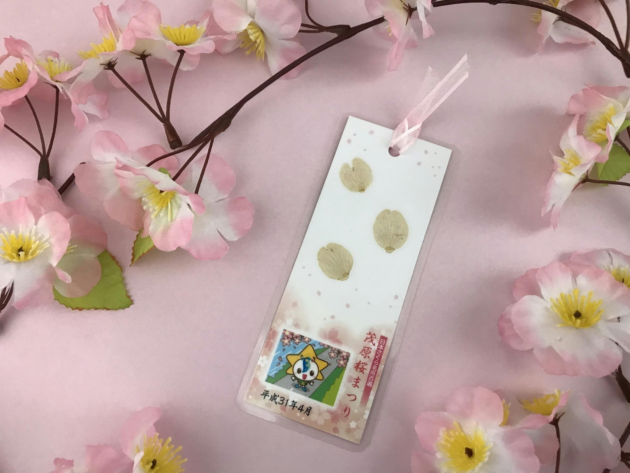 茂原市の歴史を彩ってきた約0本の桜を記録と記憶に残したい Campfire キャンプファイヤー 茂原市の歴史を彩ってきた約0本の桜を記録と記憶に残したい Campfire キャンプファイヤー