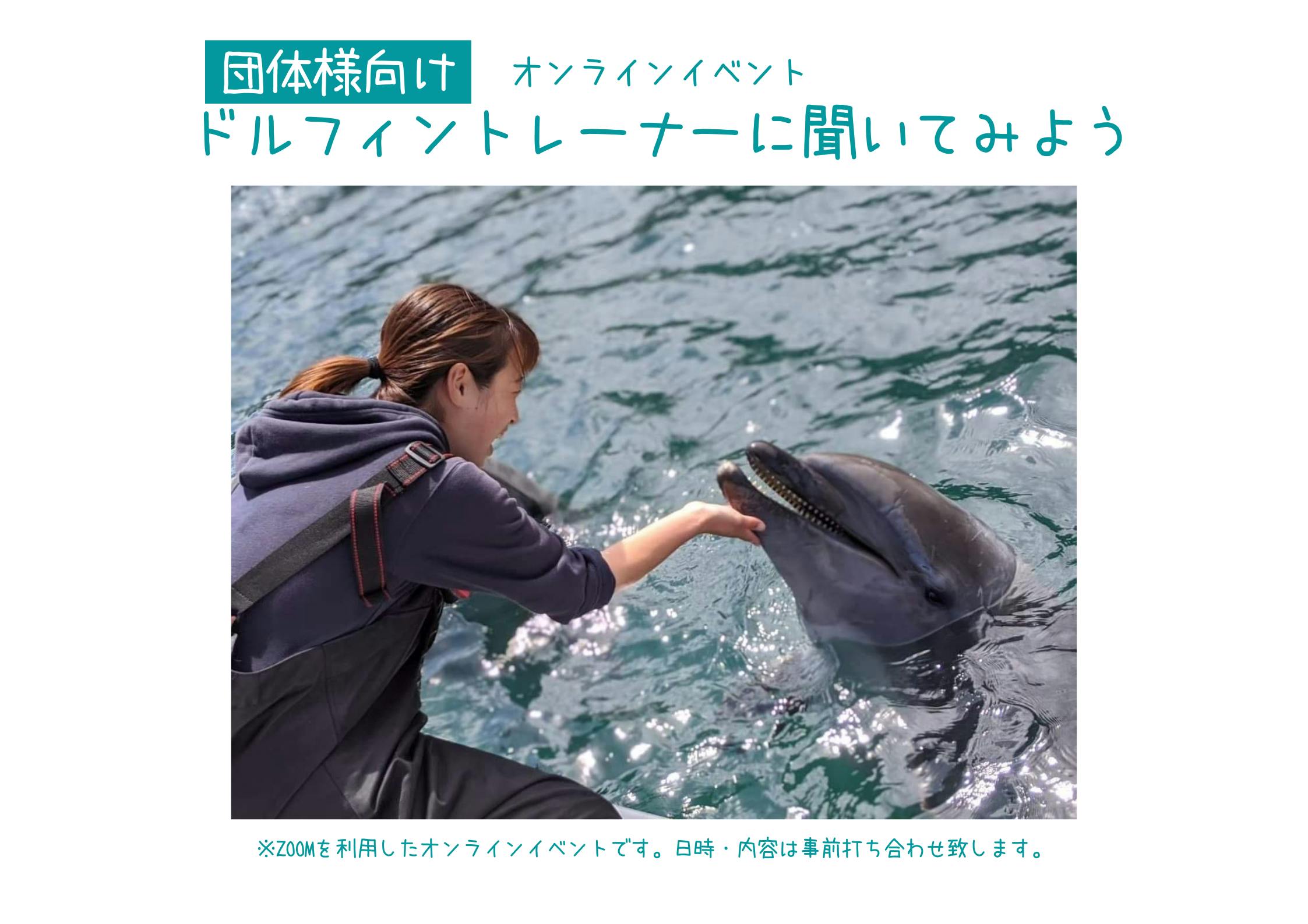日本で唯一の施設にしたい イルカたちが喜ぶ新鮮なお魚をあげたい Campfire キャンプファイヤー 日本で唯一の施設にしたい イルカたちが喜ぶ新鮮なお魚をあげたい Campfire キャンプファイヤー